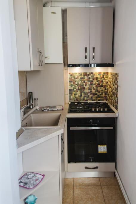 2 Bedroom Apt Park Belvedere Sibiu Buitenkant foto